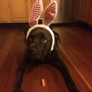 Meet your Posher, Vicky